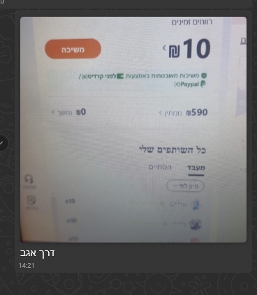 תמונה 3