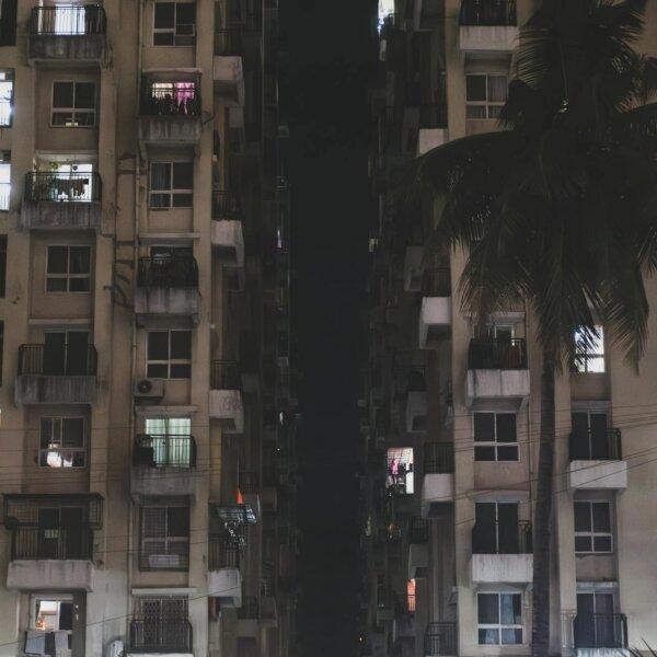 Urban residential buildings with lit windows at night and a palm tree in the foreground.