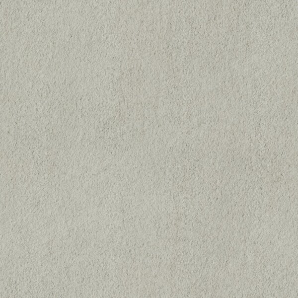 A detailed close-up of a rough textured gray wall, perfect for backgrounds or designs.