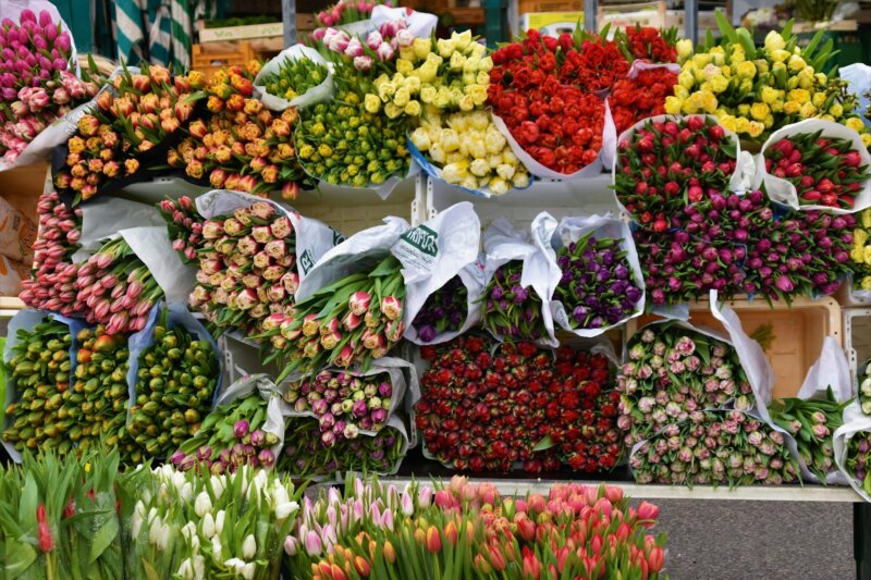 Beautiful assortment of colorful tulip bouquets on display at an outdoor flower market.